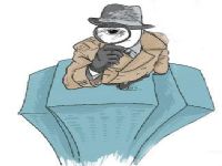 商都县取证公司解说第三者承担离婚赔偿责任吗
